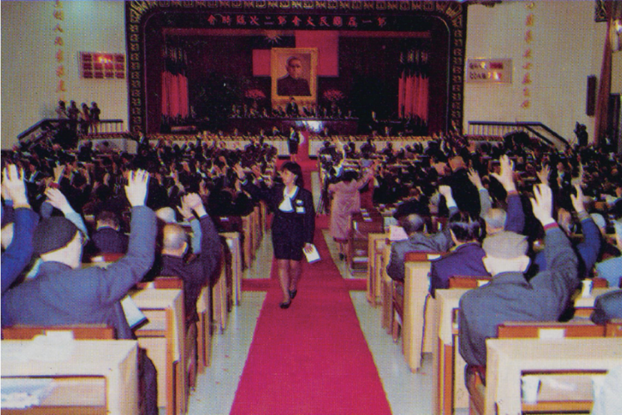 出席代表舉手表決中華民國憲法增修條文情形。